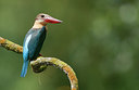 BUITEN BEELD Foto: 309491