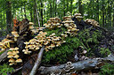 BUITEN BEELD Foto: 309493