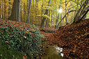 BUITEN BEELD Foto: 309520