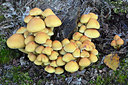 BUITEN BEELD Foto: 309526