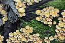 BUITEN BEELD Foto: 309535
