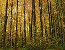BUITEN BEELD Foto: 309555