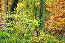BUITEN BEELD Foto: 309561