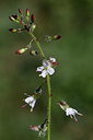 BUITEN BEELD Foto: 309574
