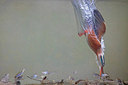 BUITEN BEELD Foto: 309598