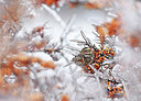 BUITEN BEELD Foto: 309599