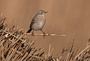 BUITEN BEELD Foto: 309669
