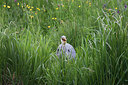 BUITEN BEELD Foto: 309773