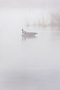 BUITEN BEELD Foto: 309798