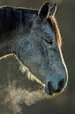 BUITEN BEELD Foto: 309818