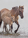BUITEN BEELD Foto: 309820