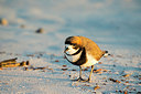 BUITEN BEELD Foto: 309850