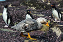 BUITEN BEELD Foto: 309865
