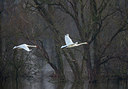 BUITEN BEELD Foto: 309915