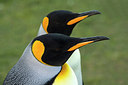 BUITEN BEELD Foto: 309916