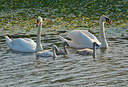BUITEN BEELD Foto: 309995