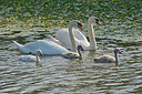BUITEN BEELD Foto: 309996