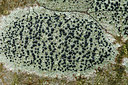 BUITEN BEELD Foto: 310028