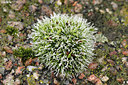 BUITEN BEELD Foto: 310081