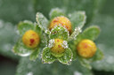 BUITEN BEELD Foto: 310082