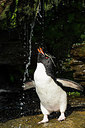 BUITEN BEELD Foto: 310090