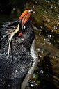 BUITEN BEELD Foto: 310092
