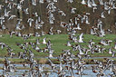 BUITEN BEELD Foto: 310167