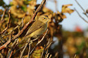 BUITEN BEELD Foto: 310183