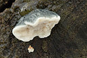 BUITEN BEELD Foto: 310199