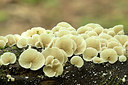 BUITEN BEELD Foto: 310203