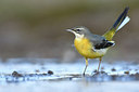 BUITEN BEELD Foto: 310229
