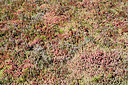 BUITEN BEELD Foto: 310343