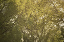 BUITEN BEELD Foto: 310401