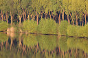 BUITEN BEELD Foto: 310438