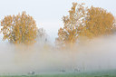 BUITEN BEELD Foto: 310455