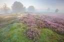 BUITEN BEELD Foto: 310480