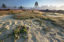 BUITEN BEELD Foto: 310485