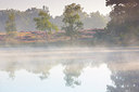 BUITEN BEELD Foto: 310487