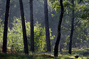BUITEN BEELD Foto: 310489
