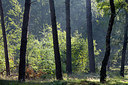 BUITEN BEELD Foto: 310490