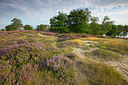 BUITEN BEELD Foto: 310495