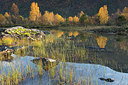 BUITEN BEELD Foto: 310506