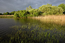 BUITEN BEELD Foto: 310557
