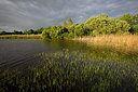 BUITEN BEELD Foto: 310558
