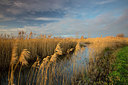 BUITEN BEELD Foto: 310561