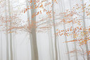 BUITEN BEELD Foto: 310565