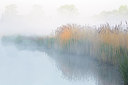 BUITEN BEELD Foto: 310609
