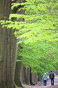 BUITEN BEELD Foto: 310711