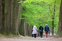 BUITEN BEELD Foto: 310712