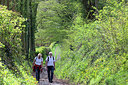 BUITEN BEELD Foto: 310715